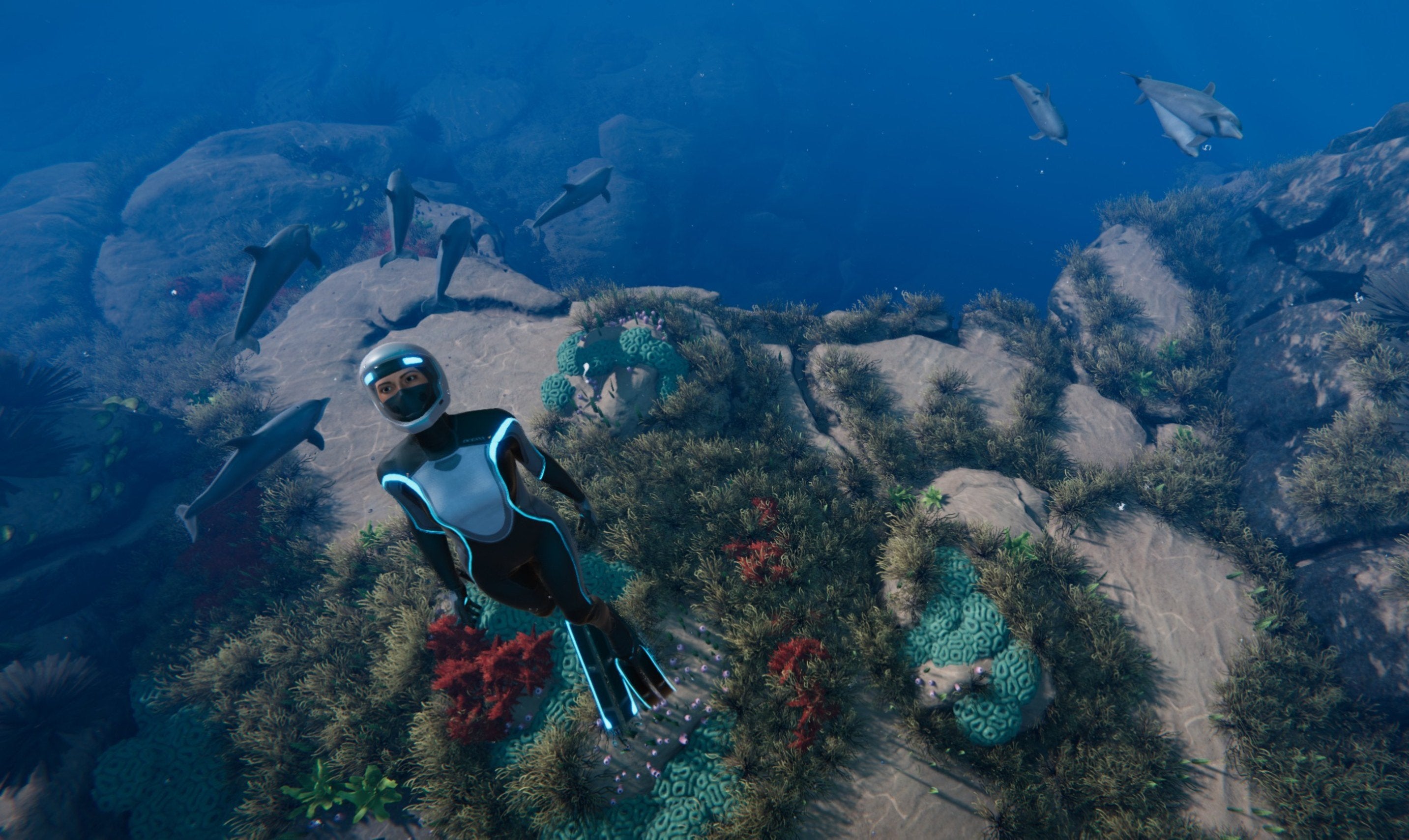 What Is The Indie Game, Beyond Blue?